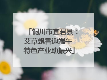 铜川市宜君县：艾草飘香迎端午 特色产业助振兴